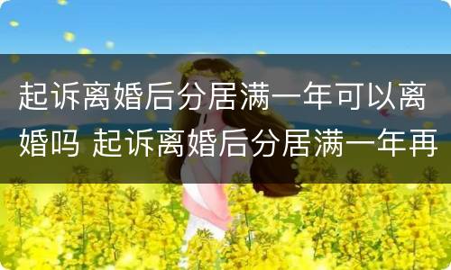 起诉离婚后分居满一年可以离婚吗 起诉离婚后分居满一年再次起诉法院不判怎么办