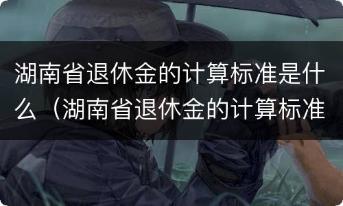 湖南省退休金的计算标准是什么（湖南省退休金的计算标准是什么呢）