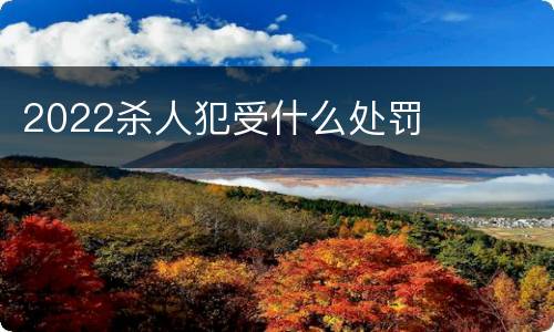 2022杀人犯受什么处罚