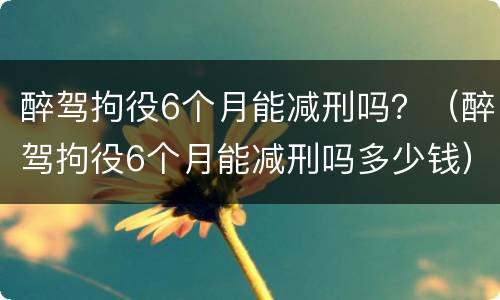 醉驾拘役6个月能减刑吗？（醉驾拘役6个月能减刑吗多少钱）