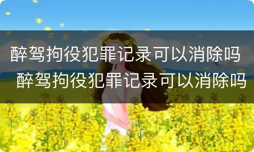 醉驾拘役犯罪记录可以消除吗 醉驾拘役犯罪记录可以消除吗多久