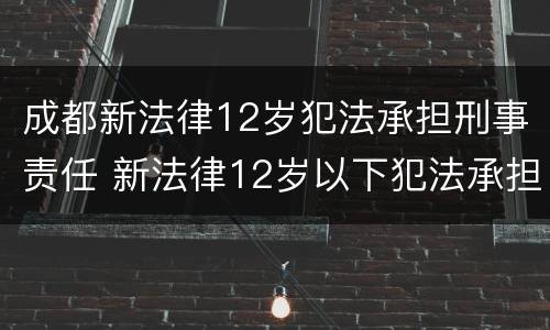 成都新法律12岁犯法承担刑事责任 新法律12岁以下犯法承担刑事责任