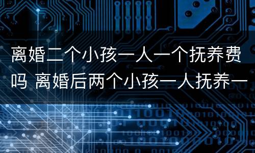 离婚二个小孩一人一个抚养费吗 离婚后两个小孩一人抚养一个费用如何承担