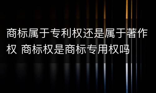商标属于专利权还是属于著作权 商标权是商标专用权吗