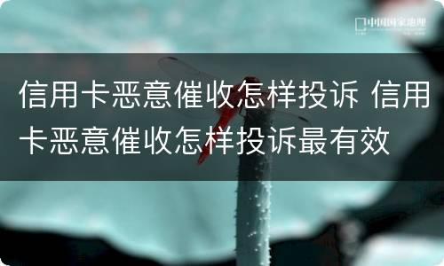 信用卡恶意催收怎样投诉 信用卡恶意催收怎样投诉最有效