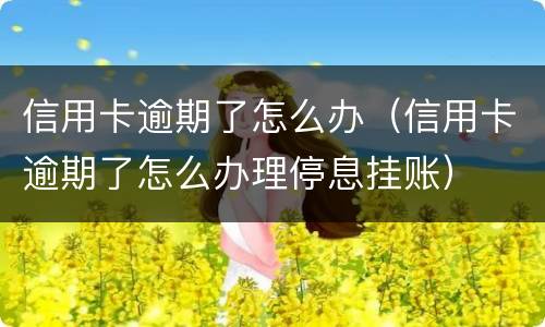 信用卡逾期了怎么办（信用卡逾期了怎么办理停息挂账）