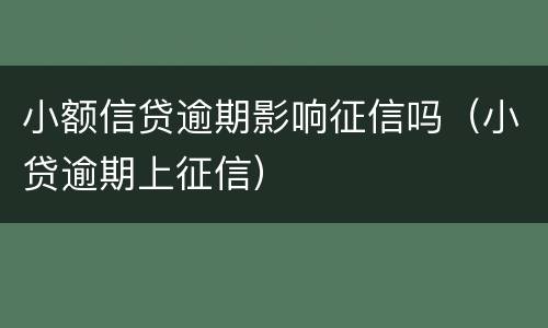 小额信贷逾期影响征信吗（小贷逾期上征信）