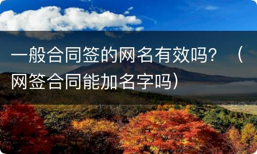 一般合同签的网名有效吗？（网签合同能加名字吗）