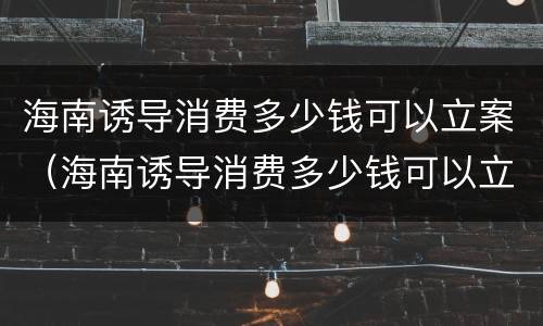 海南诱导消费多少钱可以立案（海南诱导消费多少钱可以立案侦查）