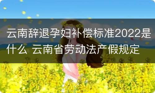 云南辞退孕妇补偿标准2022是什么 云南省劳动法产假规定