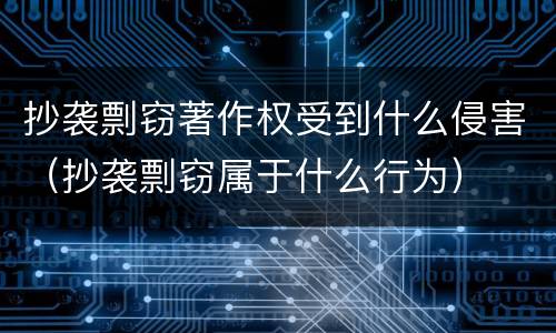抄袭剽窃著作权受到什么侵害（抄袭剽窃属于什么行为）