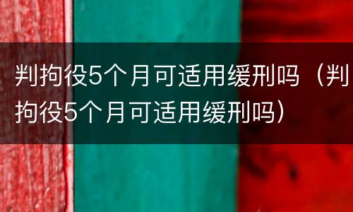 判拘役5个月可适用缓刑吗（判拘役5个月可适用缓刑吗）