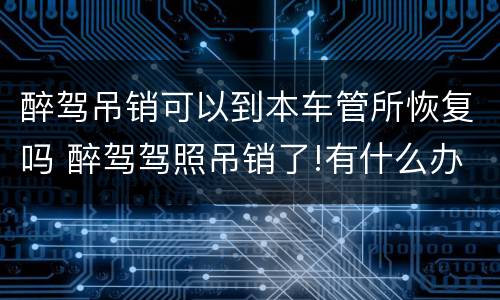 醉驾吊销可以到本车管所恢复吗 醉驾驾照吊销了!有什么办法补办