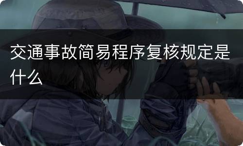 交通事故简易程序复核规定是什么