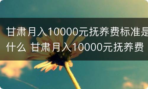 甘肃月入10000元抚养费标准是什么 甘肃月入10000元抚养费标准是什么呢