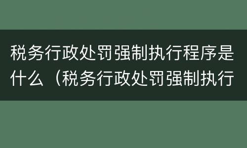 税务行政处罚强制执行程序是什么（税务行政处罚强制执行的时间规定）