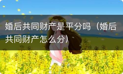 婚后共同财产是平分吗（婚后共同财产怎么分）
