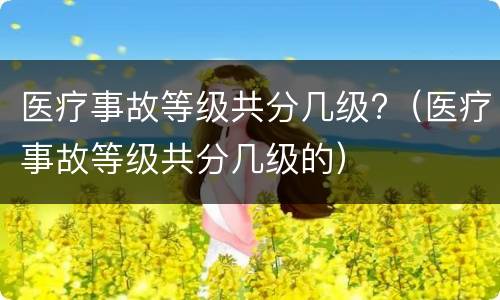 医疗事故等级共分几级?（医疗事故等级共分几级的）