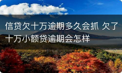 信贷欠十万逾期多久会抓 欠了十万小额贷逾期会怎样