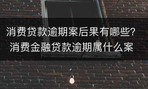 消费贷款逾期案后果有哪些？ 消费金融贷款逾期属什么案