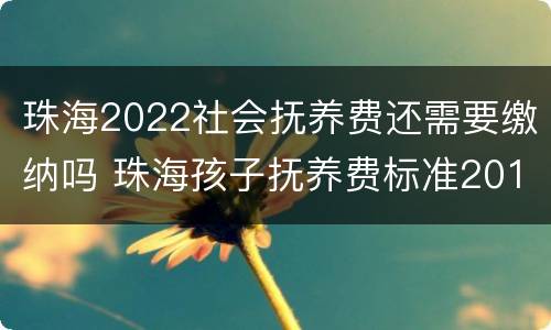珠海2022社会抚养费还需要缴纳吗 珠海孩子抚养费标准2019