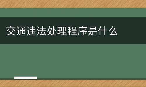 交通违法处理程序是什么