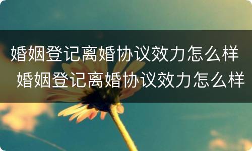 婚姻登记离婚协议效力怎么样 婚姻登记离婚协议效力怎么样啊