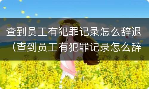 查到员工有犯罪记录怎么辞退（查到员工有犯罪记录怎么辞退员工）