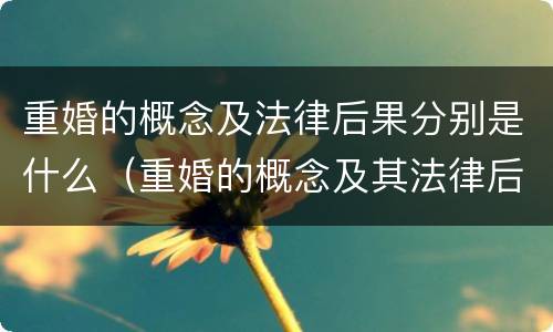 重婚的概念及法律后果分别是什么（重婚的概念及其法律后果）