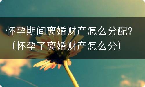 怀孕期间离婚财产怎么分配？（怀孕了离婚财产怎么分）