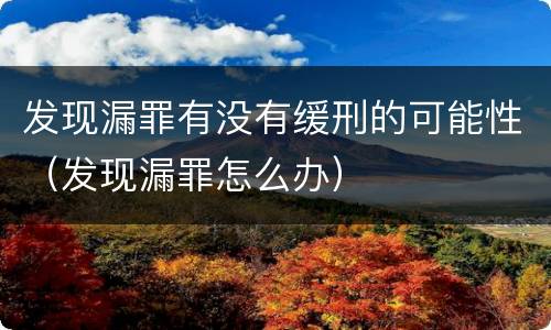 发现漏罪有没有缓刑的可能性（发现漏罪怎么办）