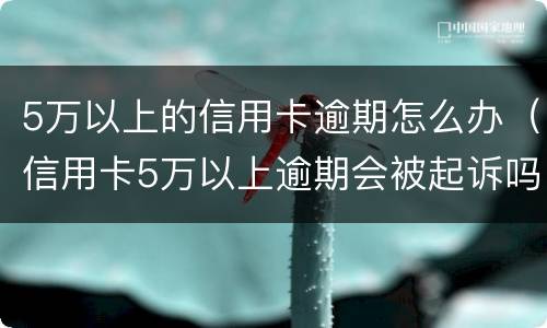 5万以上的信用卡逾期怎么办（信用卡5万以上逾期会被起诉吗?）