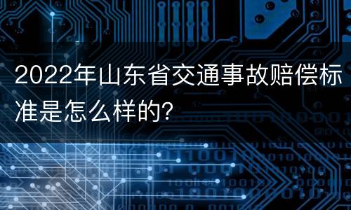 2022年山东省交通事故赔偿标准是怎么样的？