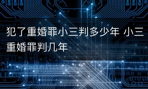 犯了重婚罪小三判多少年 小三重婚罪判几年