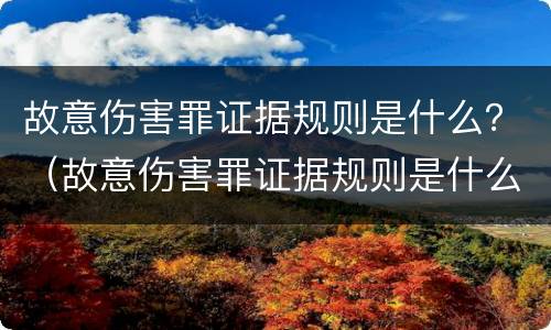 故意伤害罪证据规则是什么？（故意伤害罪证据规则是什么意思）