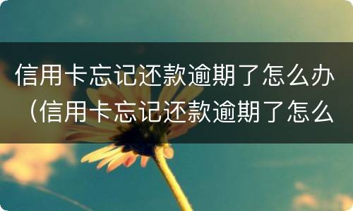 信用卡忘记还款逾期了怎么办（信用卡忘记还款逾期了怎么办会有征信）