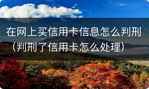 在网上买信用卡信息怎么判刑（判刑了信用卡怎么处理）