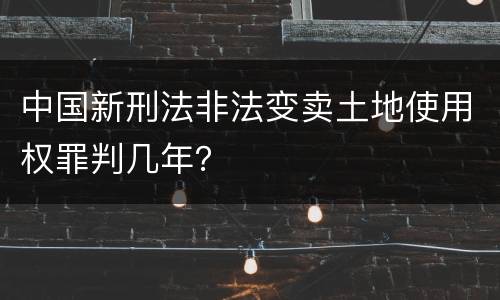 中国新刑法非法变卖土地使用权罪判几年？