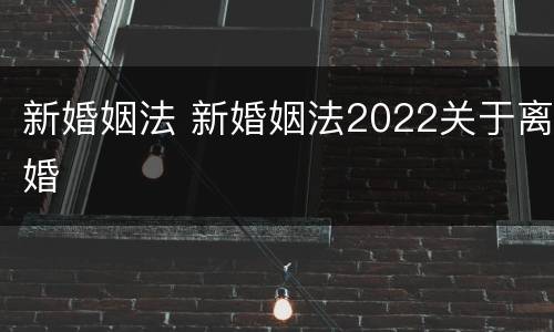 新婚姻法 新婚姻法2022关于离婚