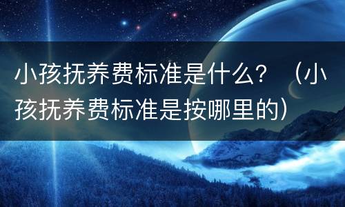 小孩抚养费标准是什么？（小孩抚养费标准是按哪里的）