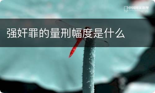 强奸罪的量刑幅度是什么