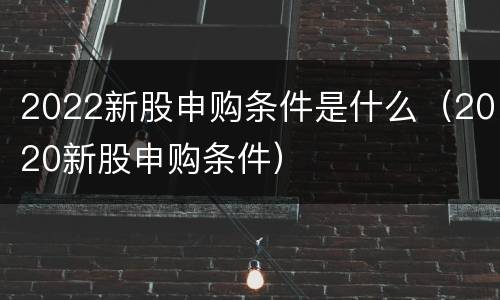 2022新股申购条件是什么（2020新股申购条件）