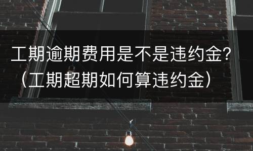 工期逾期费用是不是违约金？（工期超期如何算违约金）