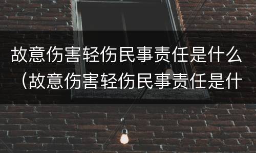 故意伤害轻伤民事责任是什么（故意伤害轻伤民事责任是什么罪）