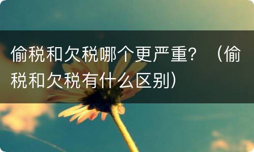 偷税和欠税哪个更严重？（偷税和欠税有什么区别）