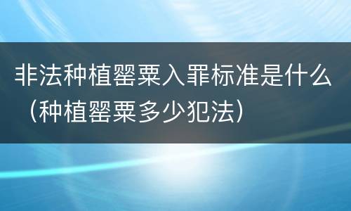 非法种植罂粟入罪标准是什么（种植罂粟多少犯法）