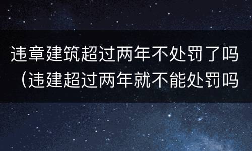 违章建筑超过两年不处罚了吗（违建超过两年就不能处罚吗）
