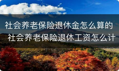 社会养老保险退休金怎么算的 社会养老保险退休工资怎么计算