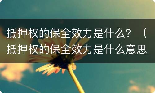 抵押权的保全效力是什么？（抵押权的保全效力是什么意思）