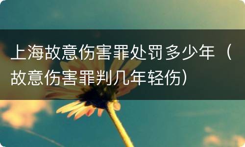 上海故意伤害罪处罚多少年（故意伤害罪判几年轻伤）